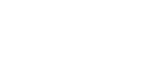 Logo_Everlast